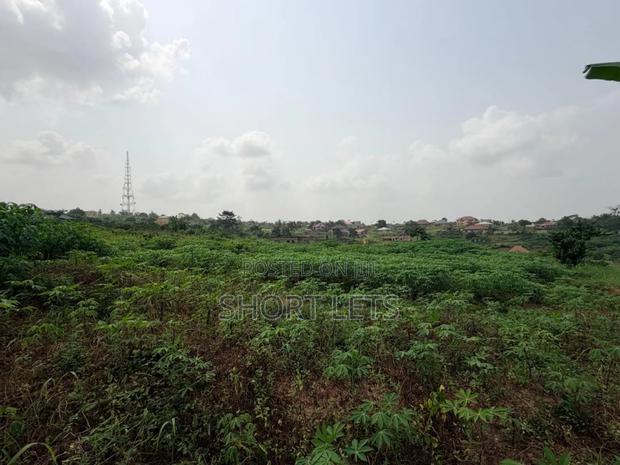 Land in Media, Samsam · Photo 4