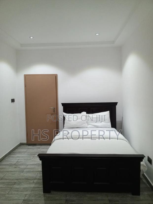 Furnished 3bdrm Penthouse in East Legon for rent photo 16