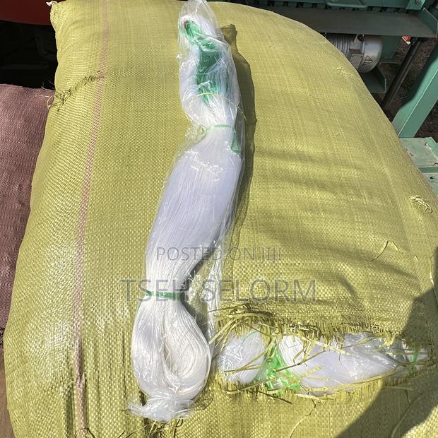 Cucumber Nets photo 2