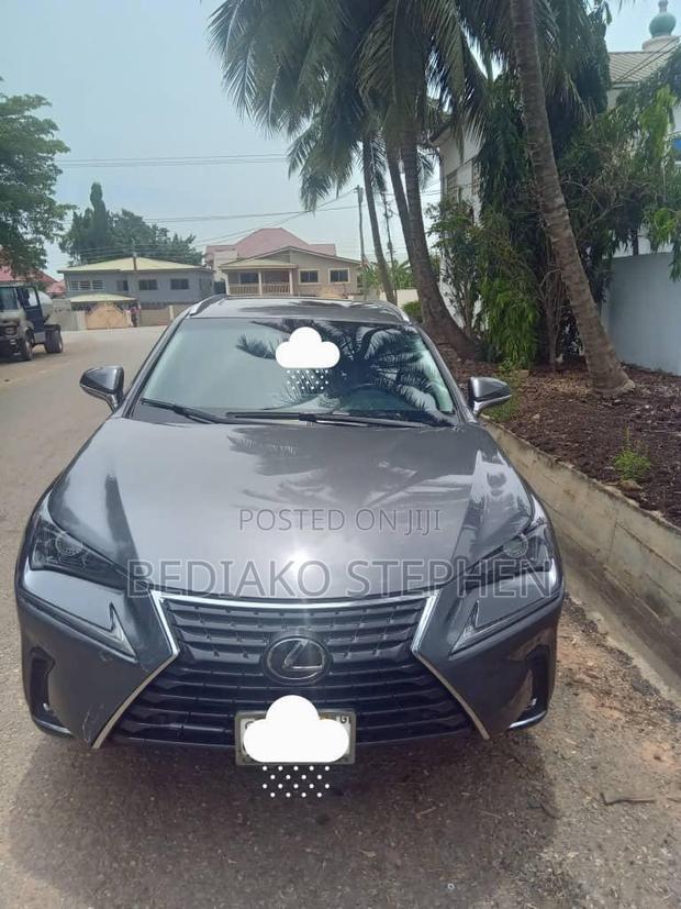 Lexus NX 2022 Silver