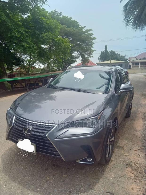 Lexus NX 2022 Silver