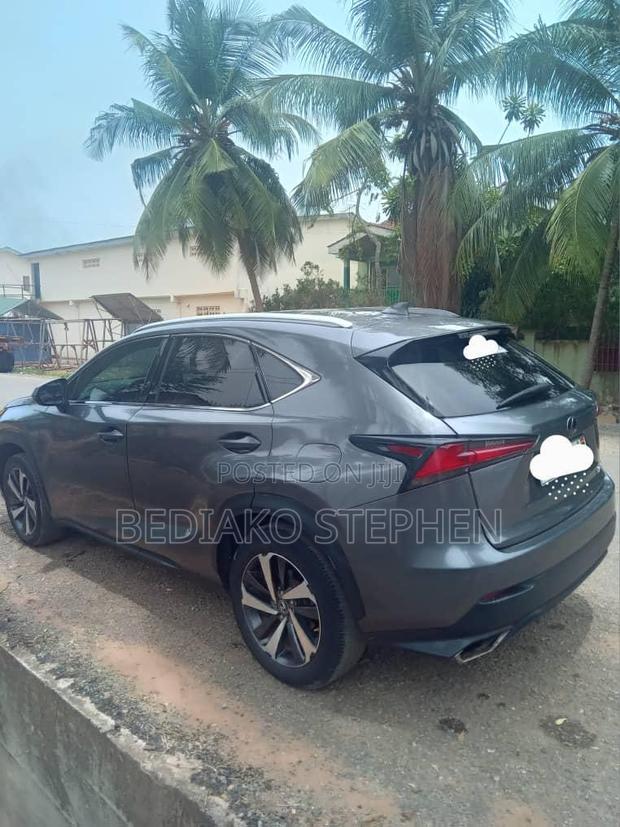 Lexus NX 2022 Silver