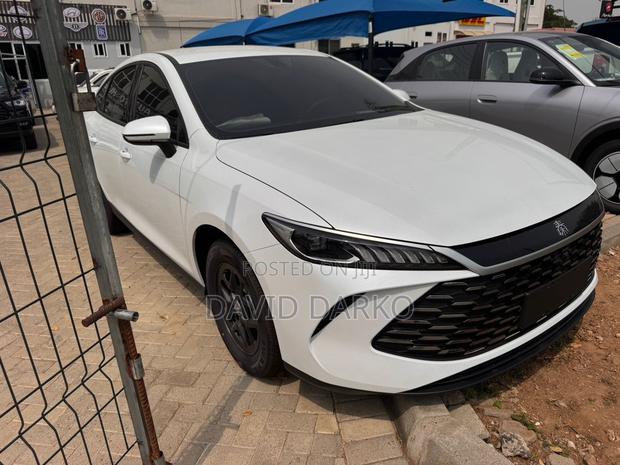 BYD Qin Plus DM-i 2025 White photo 2