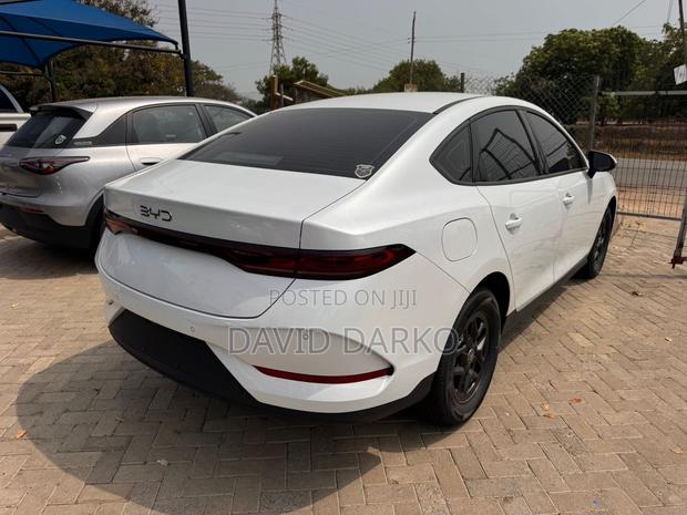 BYD Qin Plus DM-i 2025 White photo 6