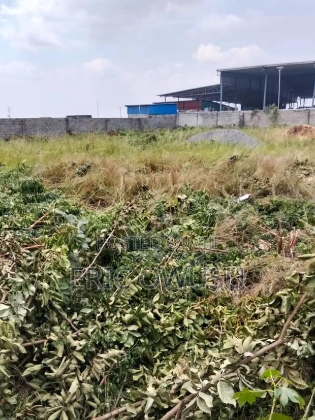 4 Acres (70×100) Land for Sale. Afienya