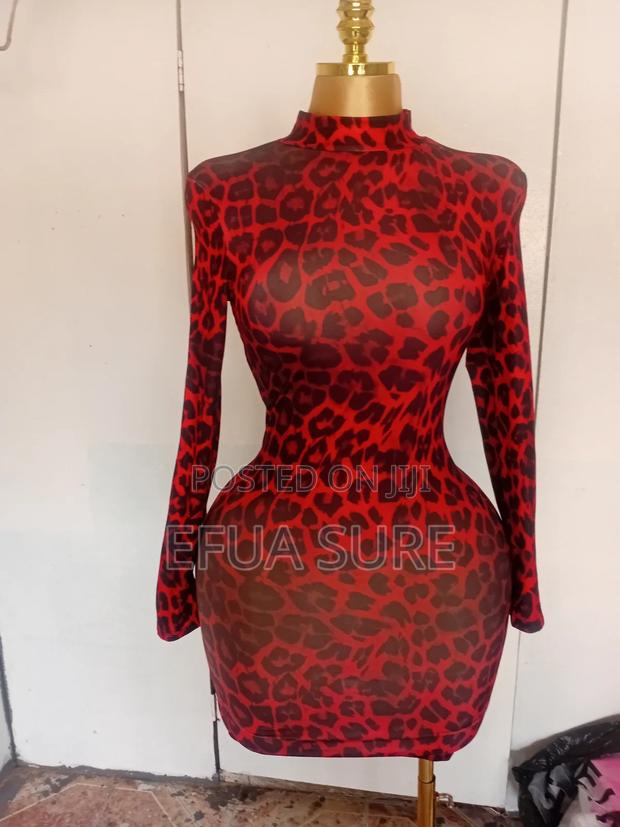 Beautiful Women Leopard Print Long Sleeve Dress
