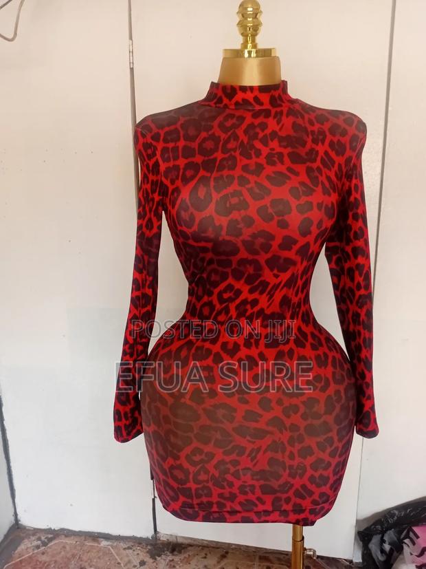 Beautiful Women Leopard Print Long Sleeve Dress