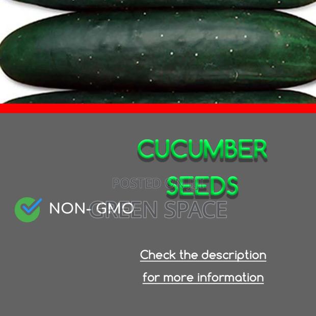 Cucumber Seeds photo 2