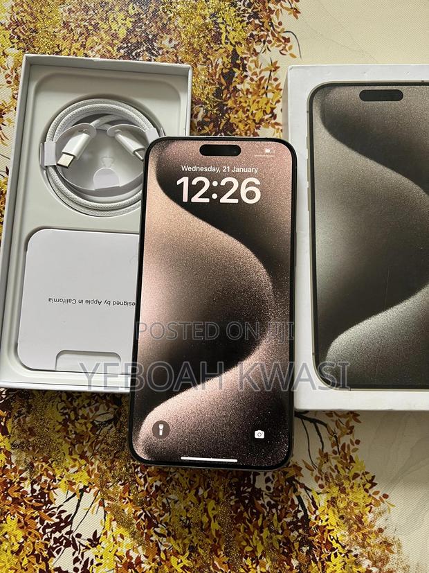 Apple iPhone 15 Pro Max 256 GB Silver photo 4