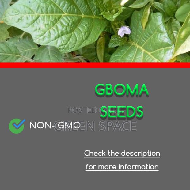 Gboma Seeds