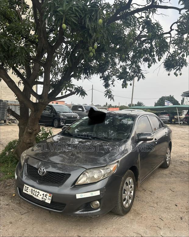 Toyota Corolla 2009 Gray