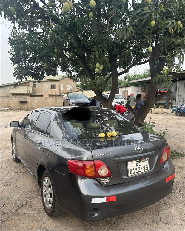 Toyota Corolla 2009 Gray