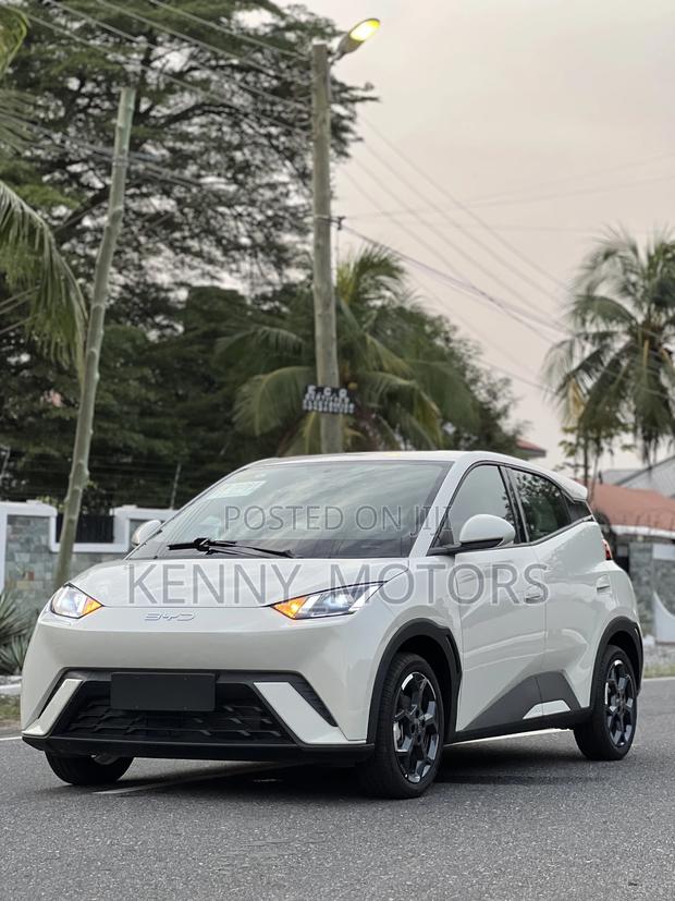 New BYD Tang EV 2025 Brown photo 2