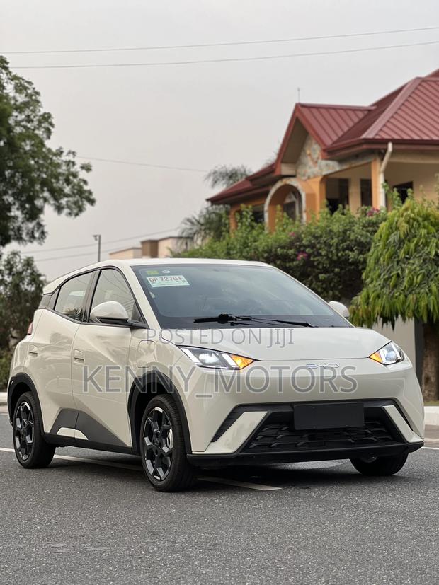 New BYD Tang EV 2025 Brown