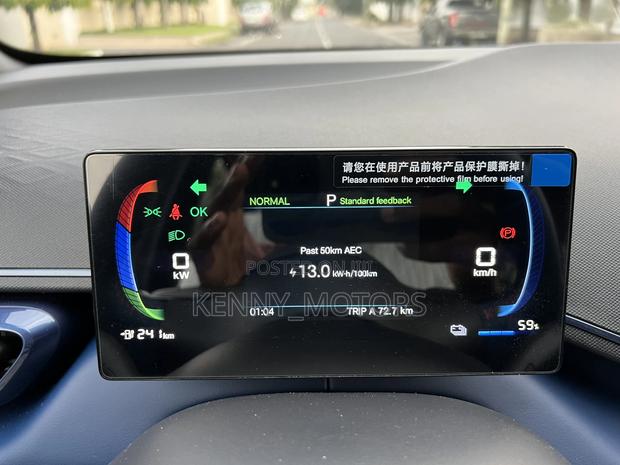 New BYD Tang EV 2025 Brown photo 6