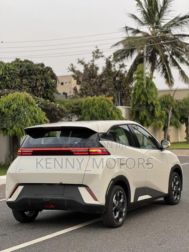 New BYD Tang EV 2025 Brown photo 8