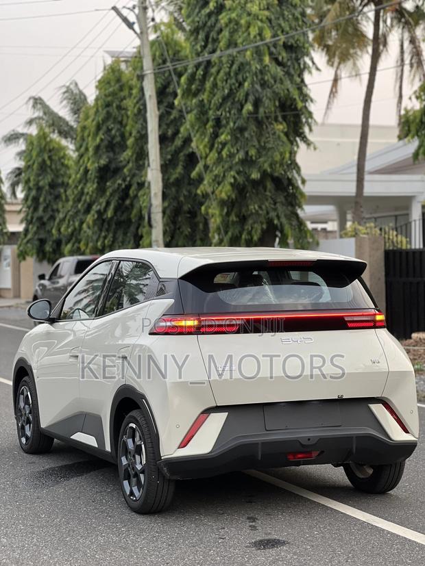 New BYD Tang EV 2025 Brown photo 9