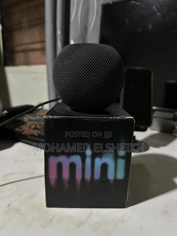 Home Pod Mini photo 3
