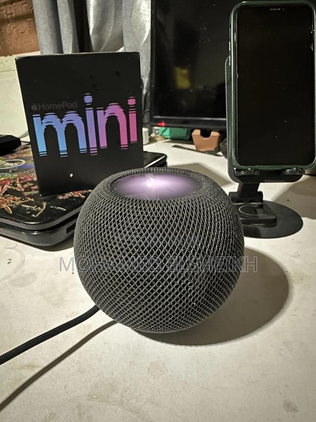 Home Pod Mini