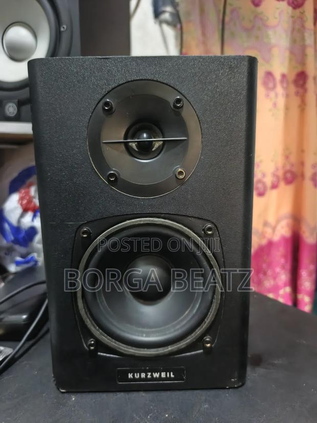 Kurzweil Ks-40 4 Inches Studio Monitors photo 3