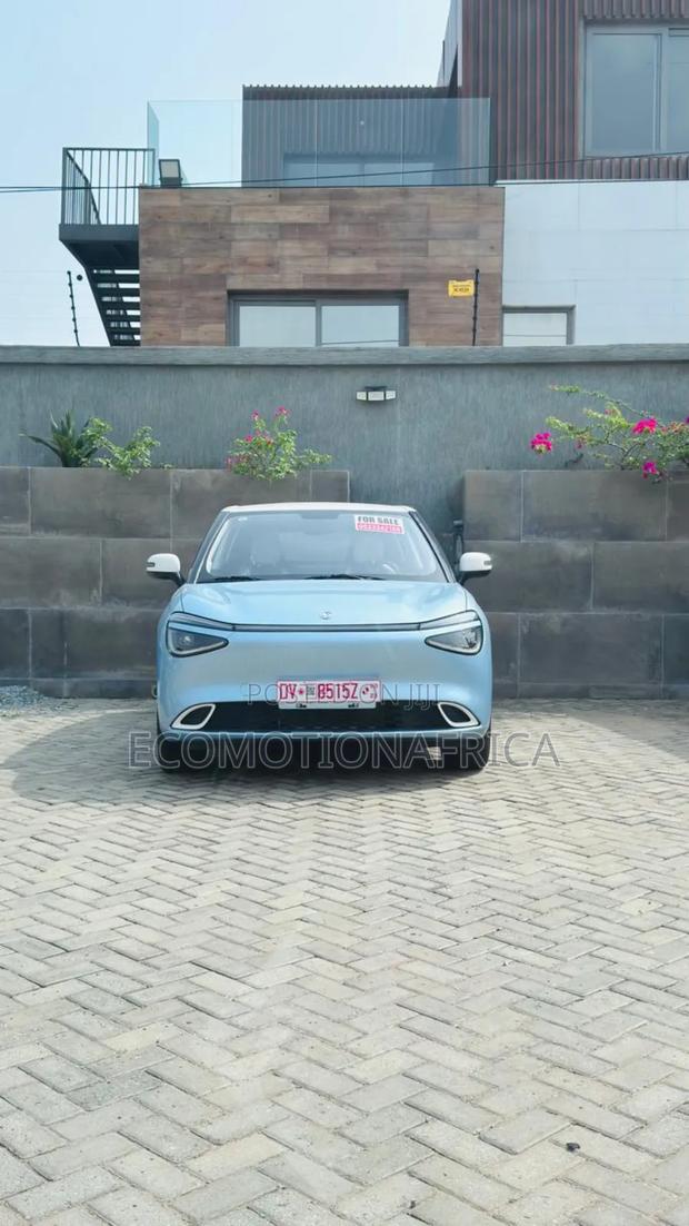New Dongfeng Nammi 01 31.45 kWh 330 Plus 2025 Blue