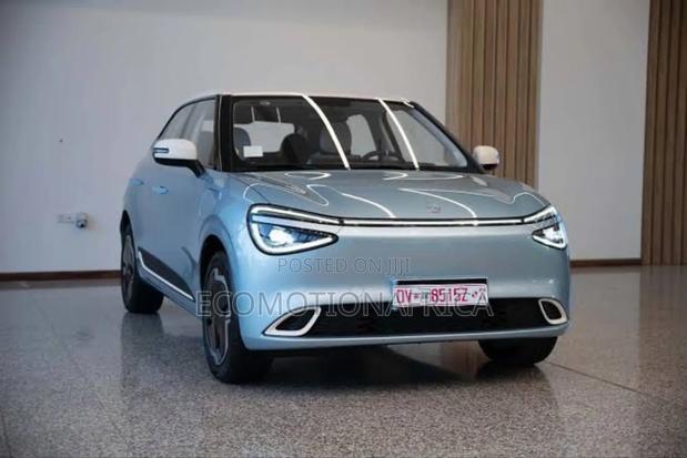 New Dongfeng Nammi 01 31.45 kWh 330 Plus 2025 Blue photo 5