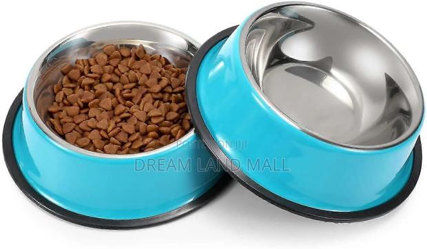 Pet Eating Drinking Bowl · Photo 2
