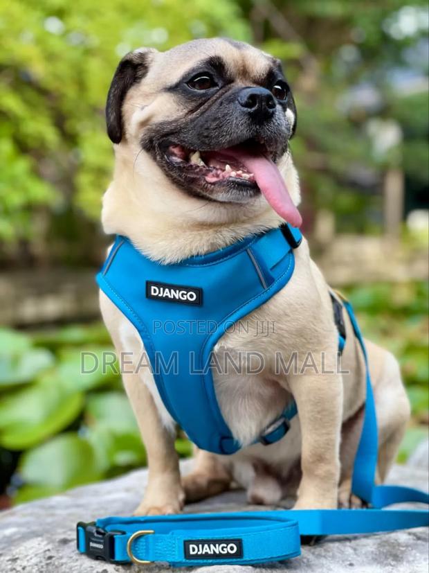 Harness for Poppies Big Dogs · Photo 2