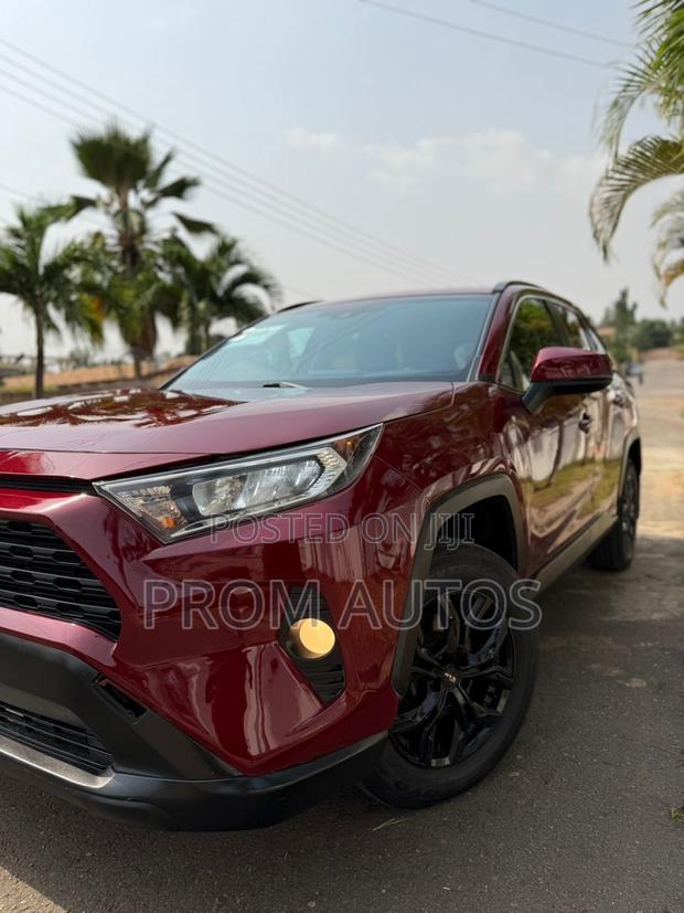 Toyota RAV4 XLE AWD 2020 Burgundy photo 4