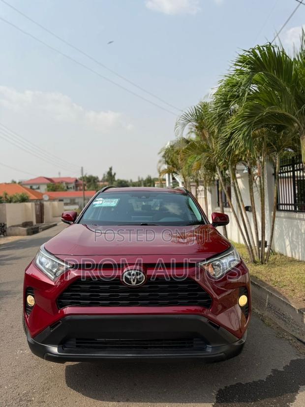 Toyota RAV4 XLE AWD 2020 Burgundy photo 6