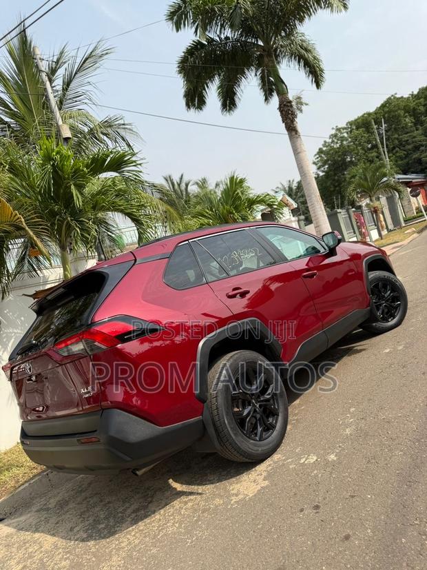 Toyota RAV4 XLE AWD 2020 Burgundy photo 2