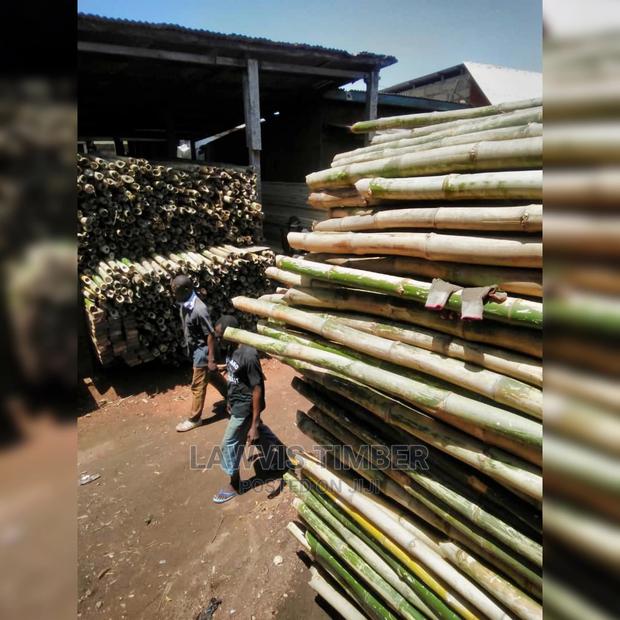 Bamboo (Payment on Delivery )