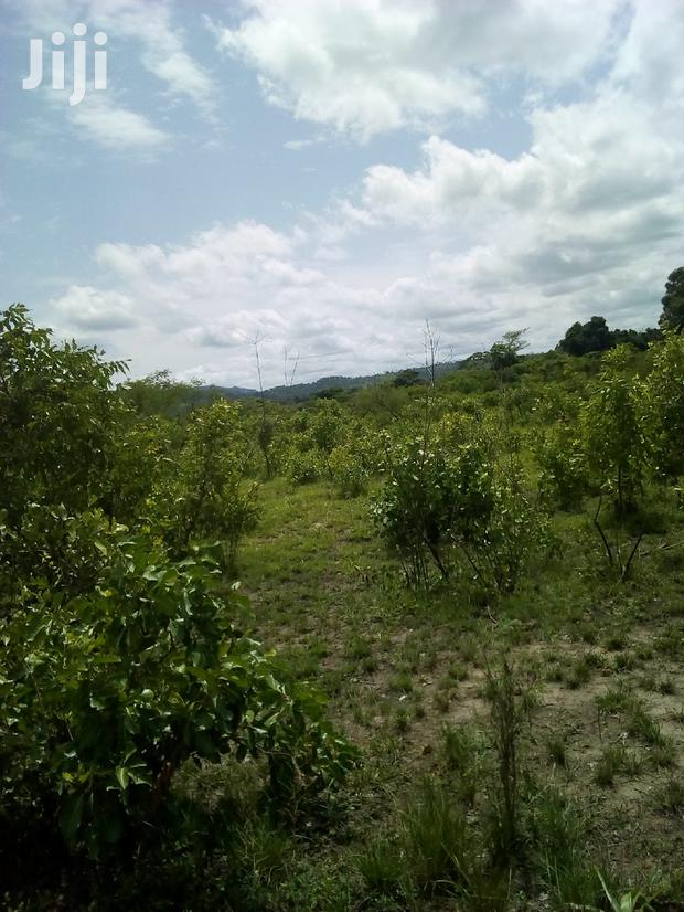 20.000 Acres of Farm Land for Sale