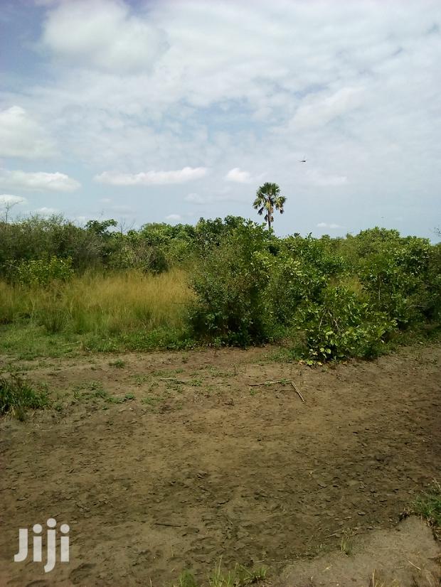 20.000 Acres of Farm Land for Sale