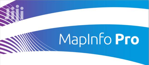 Mapinfo V17 With Datamine Discover · Photo 2