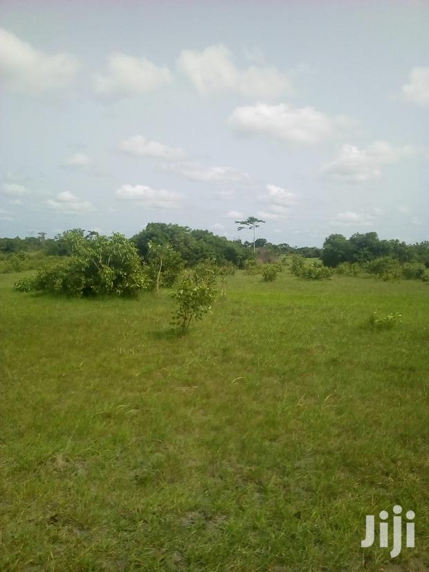 20.000 Acres of Farm Land for Sale