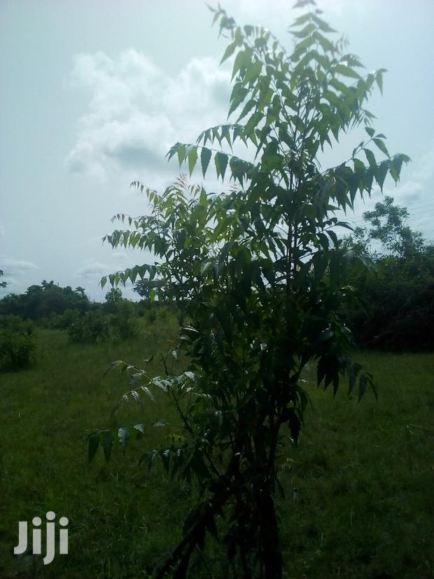 150 Acres of Land Farm Land