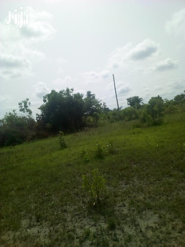 150 Acres of Land Farm Land