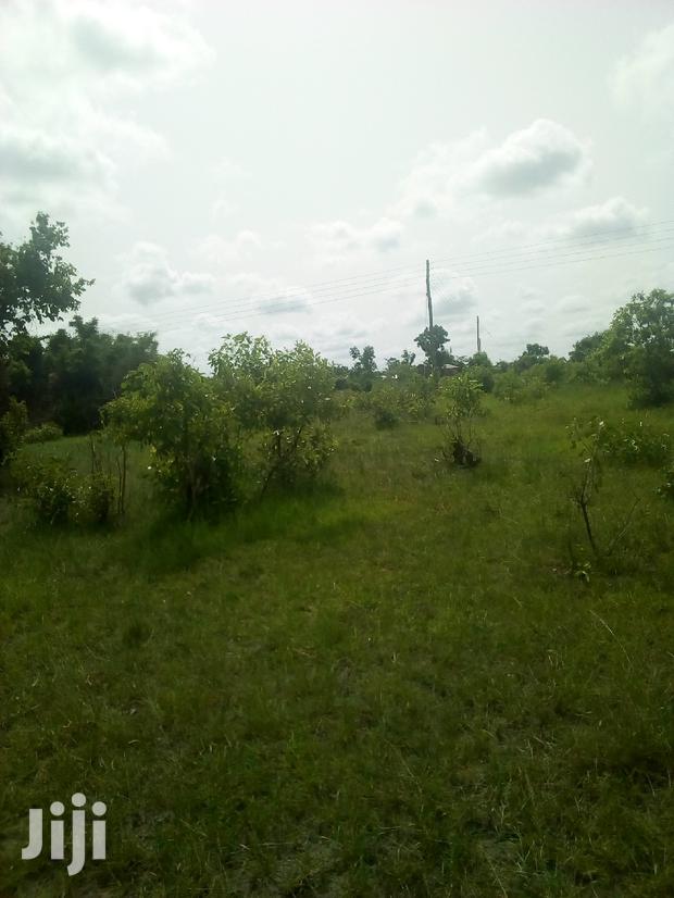 150 Acres of Land Farm Land