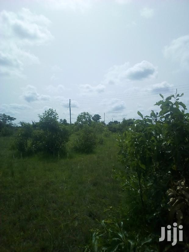 150 Acres of Land Farm Land