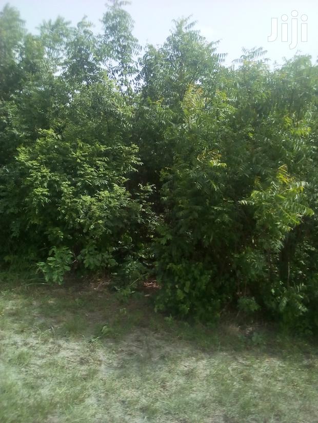 150 Acres of Land Farm Land