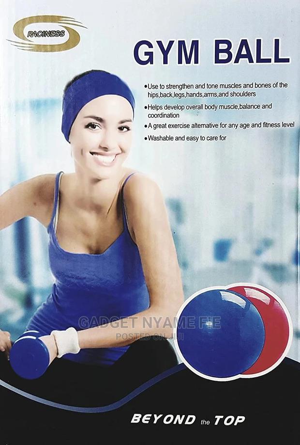 Gym Exercise Ball · Photo 3