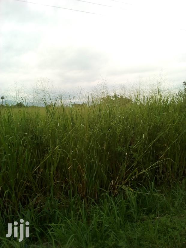 500 Plots of Land for Sale