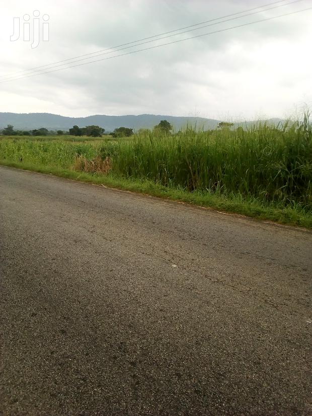 500 Plots of Land for Sale