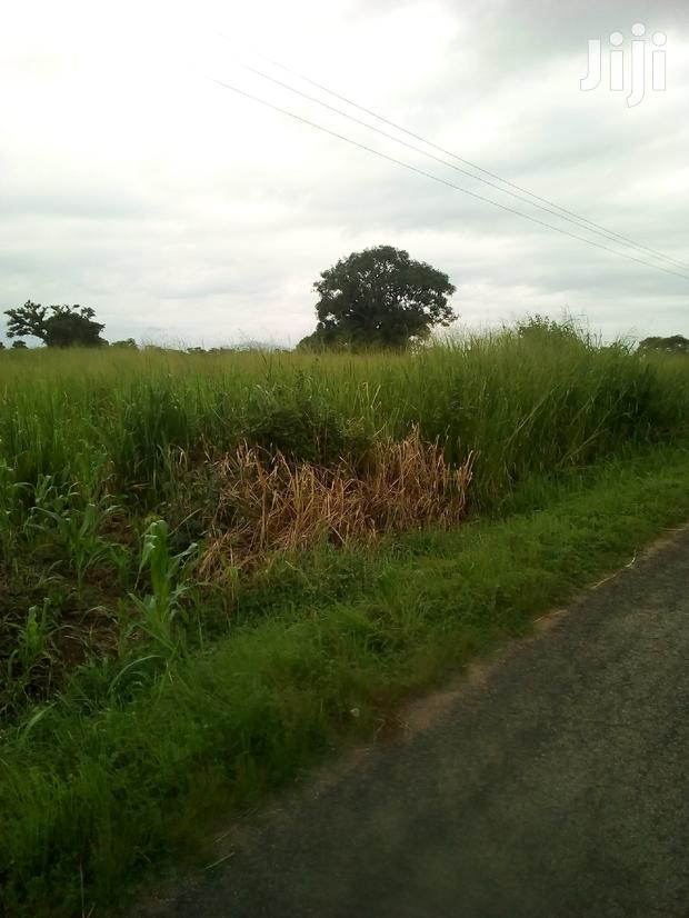 Plots of Land for Sale