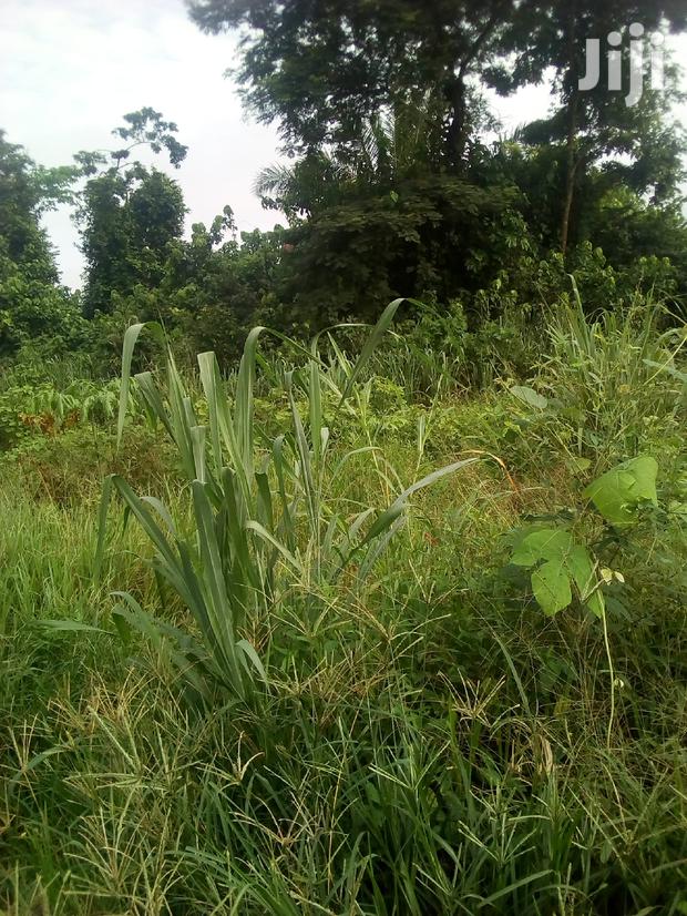 10.000 Acres Of Farm Land For Sale