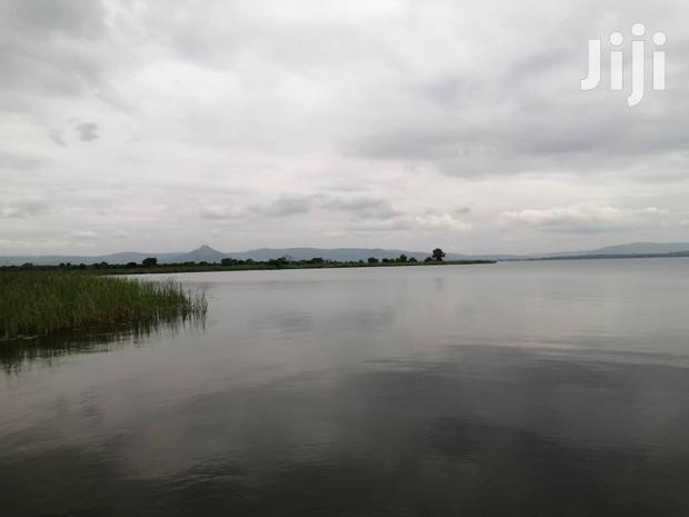 10.000+ Acres of Farm Land for Long Term Lease