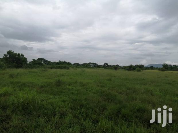 10.000+ Acres of Farm Land for Long Term Lease