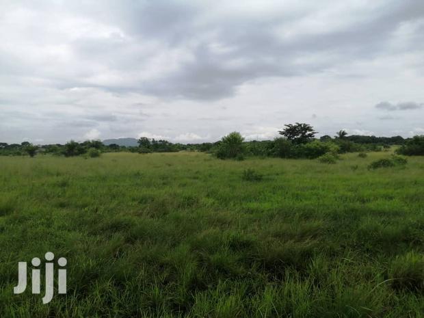 10.000+ Acres of Farm Land for Long Term Lease