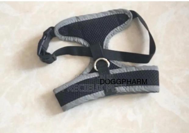 Puppy Harhness · Photo 2